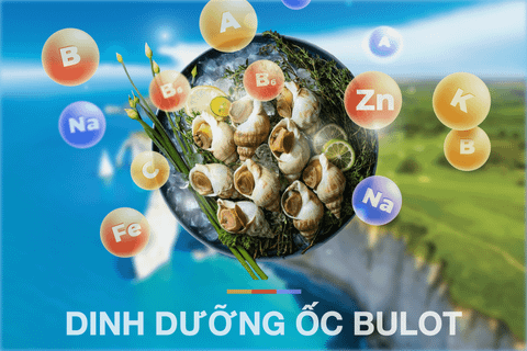 Dinh Dưỡng Ốc Bulot