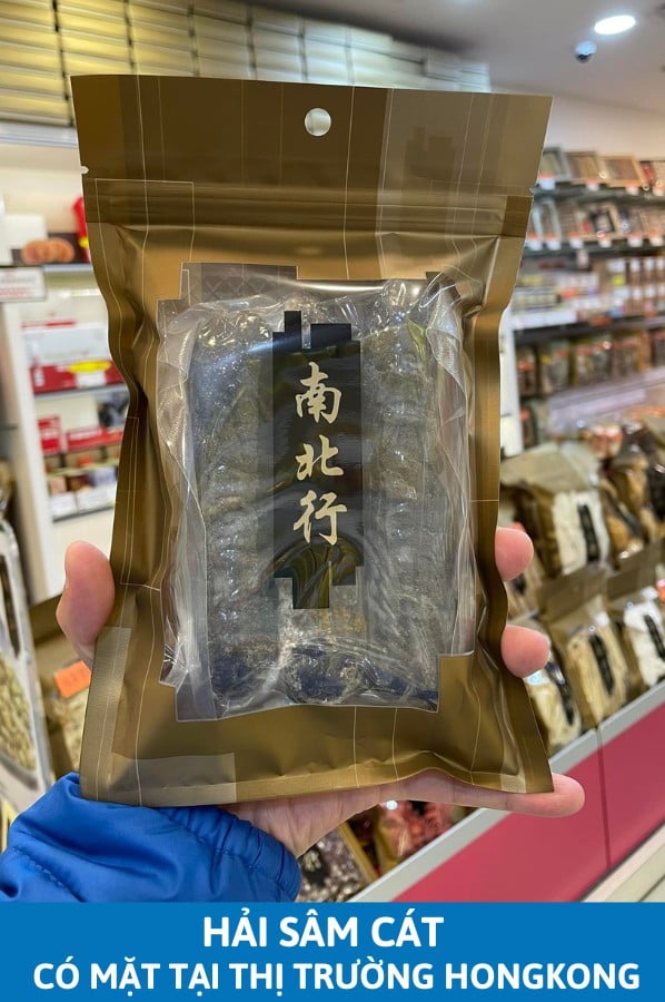 HẢI SÂM CÁT CÓ MẶT TẠI THỊ TRƯỜNG HONGKONG