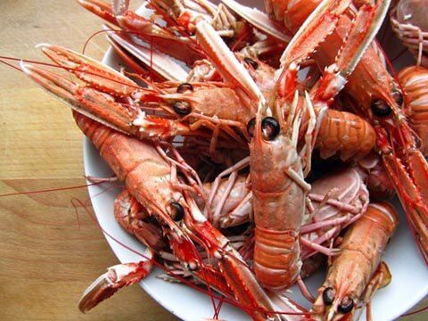 Cách Hấp Tôm Langoustine Trong 5 Phút!!