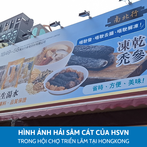 Hải sâm cát có mặt tại HongKong-1-Leconseafoods