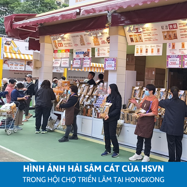 Hải sâm cát có mặt tại HongKong-2-Leconseafoods