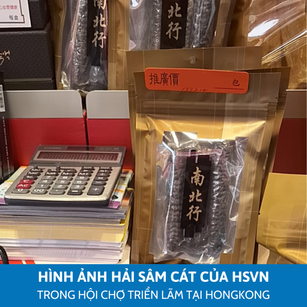 Hải sâm cát có mặt tại HongKong-3-Leconseafoods