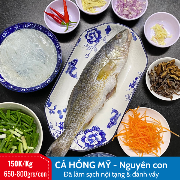 cá-hồng-mỹ-LeconSeafoods-1