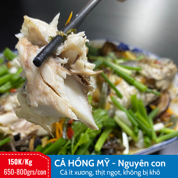 cá-hồng-mỹ-LeconSeafoods-2
