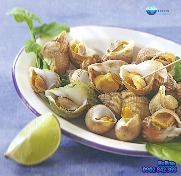 Ốc Bulot Pháp - Lecon Seafoods