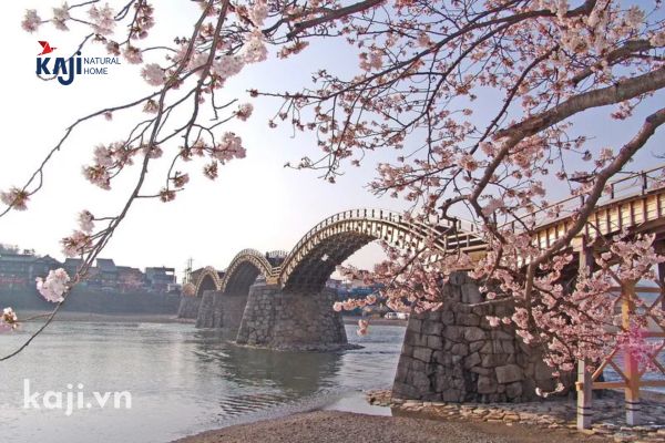 Du lịch Nhật Bản