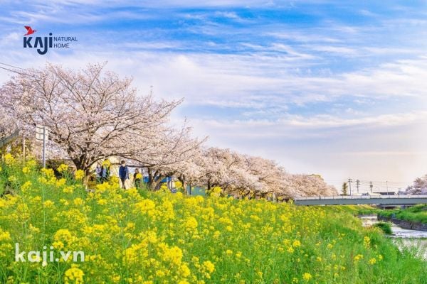 Du lịch Nhật Bản