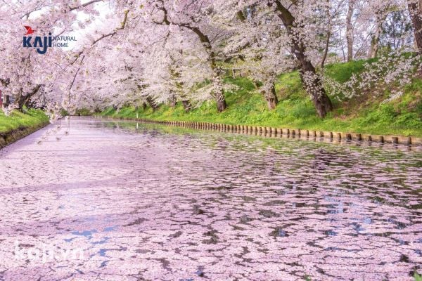 Du lịch Nhật Bản