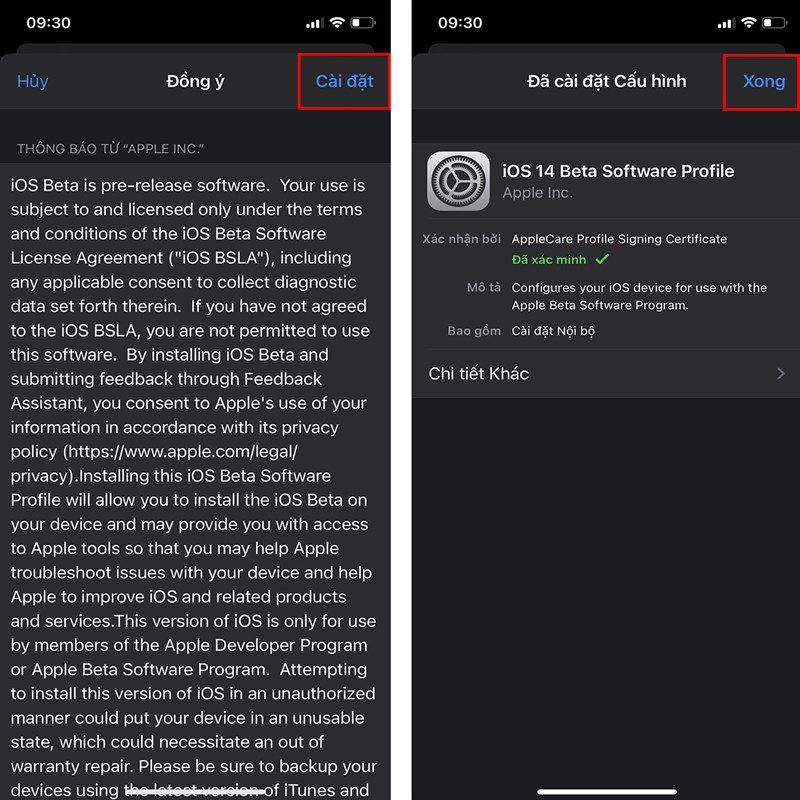 beta profiles ios 14.5