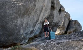 Mobile & Tablet