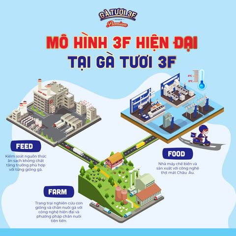 Quy trình chăn nuôi khép kín feedfarmfood  CHUYÊN TRANG THỂ THAO