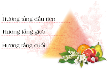 huong_thom_dau_goi_1__404f40b865144821b7fd24c7f74b7e37_grande.png