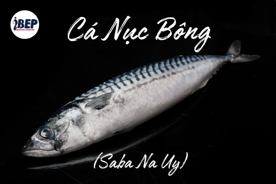 Cá nục bông đông lạnh làm gì ngon? bao nhiêu 1kg