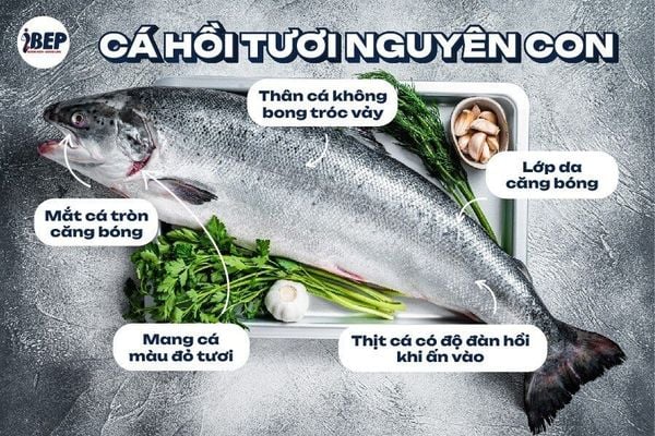 Cách lựa chọn cá hồi tươi nguyên con