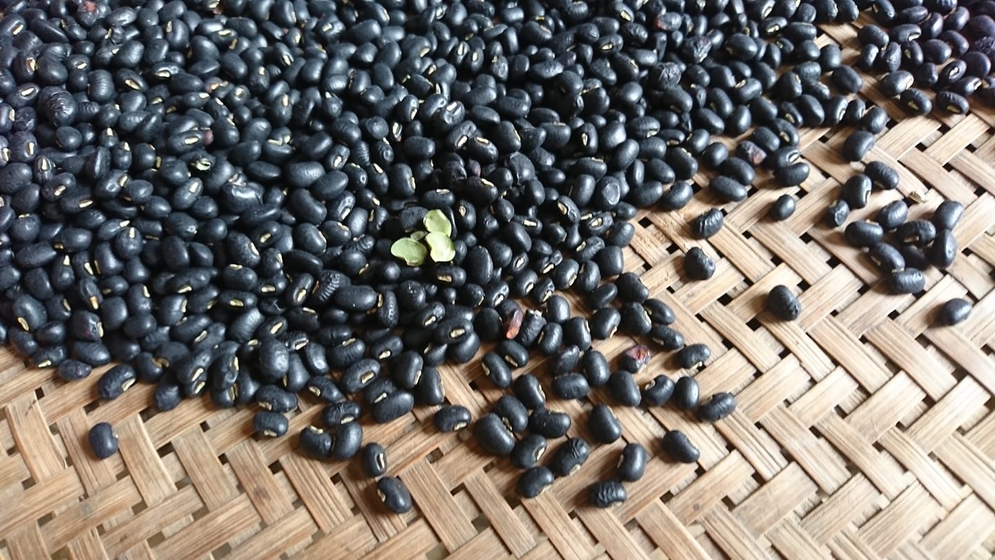 Giá trị dinh dưỡng của đậu đen, thực phẩm tốt cho sức khỏe.