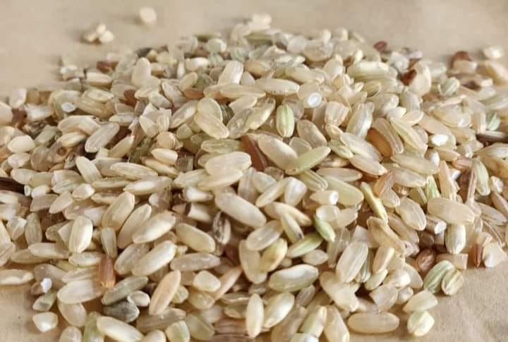 Gạo Xà Cơn, đặc sản núi rừng Kon Tum - Vị thuốc của Làng!