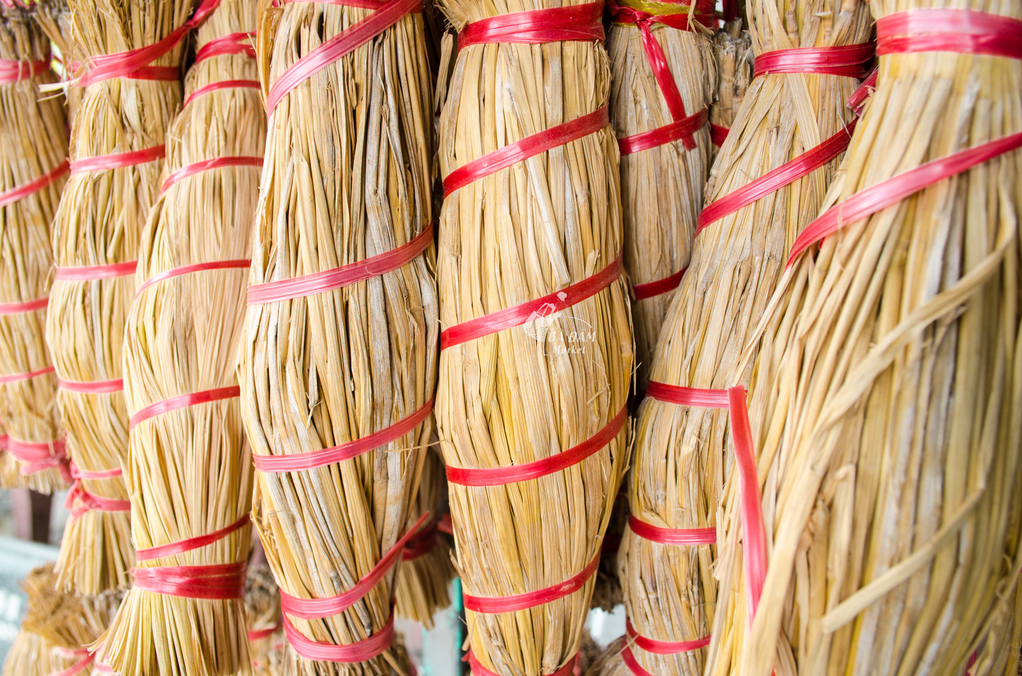 Tré Bình Định, Đặc Sản Độc Đáo Đất Võ