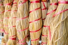 Tré Bình Định, Đặc Sản Độc Đáo Đất Võ