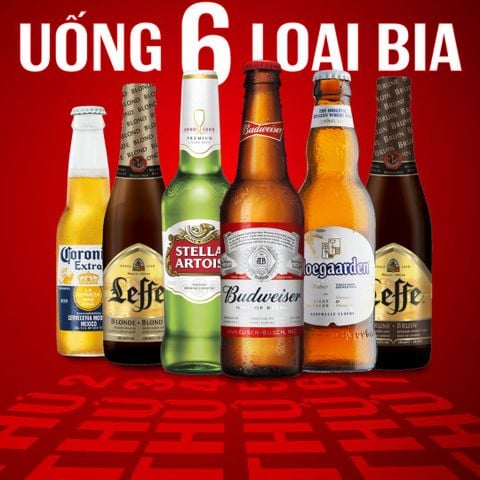 Các Loại Bia Và Giá Mới Nhất Tại Việt Nam