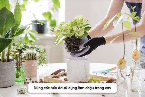 Hướng Dẫn Tái Chế Cốc Nến Thơm Đã Sử Dụng Đơn Giản