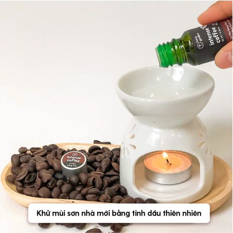Bí Quyết Khử Mùi Nhà Mới Bằng Nến Thơm Tinh Dầu An Toàn Và Hiệu Quả
