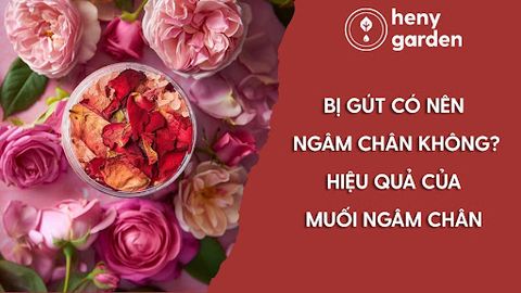 Bị Gút Có Nên Ngâm Chân Không? Hiệu Quả Của Muối Ngâm Chân