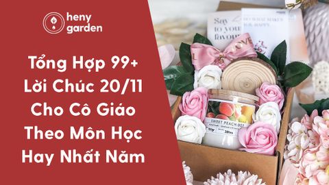 Tuyển Tập 99+ Những Lời Chúc 20/11 Cho Cô Giáo Đầy Ý Nghĩa, Cảm Xúc Nhất