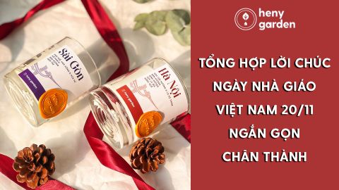 Tổng Hợp 99+ Lời Chúc Ngày Nhà Giáo Việt Nam 20/11 Ngắn Gọn Chân Thành
