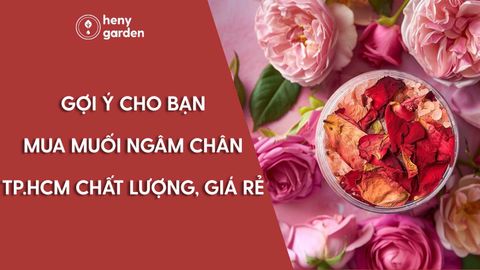 Gợi Ý Cho Bạn Mua Muối Ngâm Chân TP.HCM Chất Lượng, Giá Rẻ