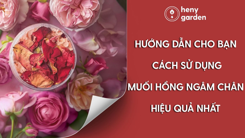 Hướng Dẫn Cho Bạn Cách Sử Dụng Muối Hồng Ngâm Chân Hiệu Quả Nhất