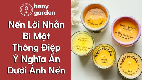 Nến Lời Nhắn Bí Mật - Thông Điệp Ý Nghĩa Ẩn Dưới Ánh Nến