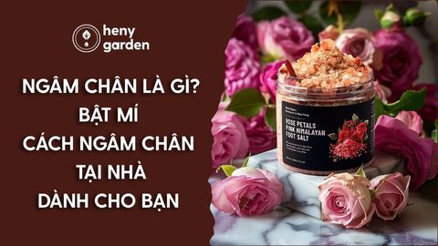 Ngâm Chân Có Những Lợi Ích Nào? Cách Ngâm Chân Hiệu Quả Dành Cho Bạn
