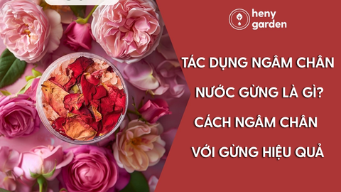 Tác Dụng Ngâm Chân Nước Gừng Là Gì? Cách Ngâm Chân Với Gừng Hiệu Quả