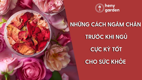 TOP Những Cách Ngâm Chân Trước Khi Ngủ Cực Kỳ Tốt Cho Sức Khỏe