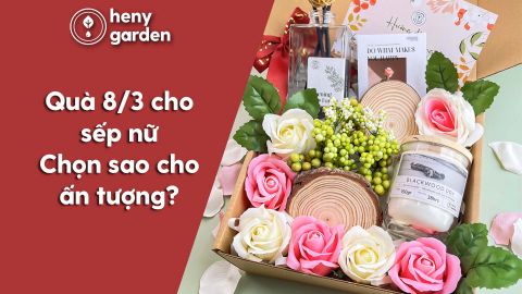 Tìm Kiếm Món Quà 8/3 Cho Sếp Nữ? Xem Ngay Gợi Ý Món Quà Đặc Biệt Từ Heny Garden