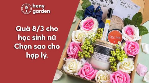 Quà Tặng 8/3 Cho Học Sinh Nữ - Gợi Ý Những Món Quà Ý Nghĩa Và Đáng Yêu