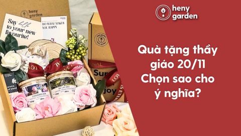 Gợi Ý 15 Set Quà Tặng 20/11 Cho Thầy Giáo Cực Ý Nghĩa Và Độc Đáo.