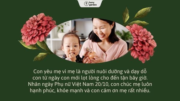 những hình ảnh ngày 20/10 ý nghĩa cho mẹ