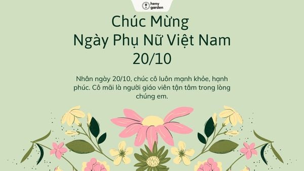 những hình ảnh 20/10 đẹp ý nghĩa cho cô giáo