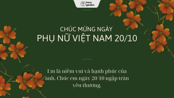 những hình ảnh 20/10 đẹp ý nghĩa cho vợ