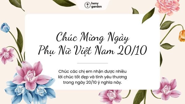 những hình ảnh 20/10 ý nghĩa đẹp