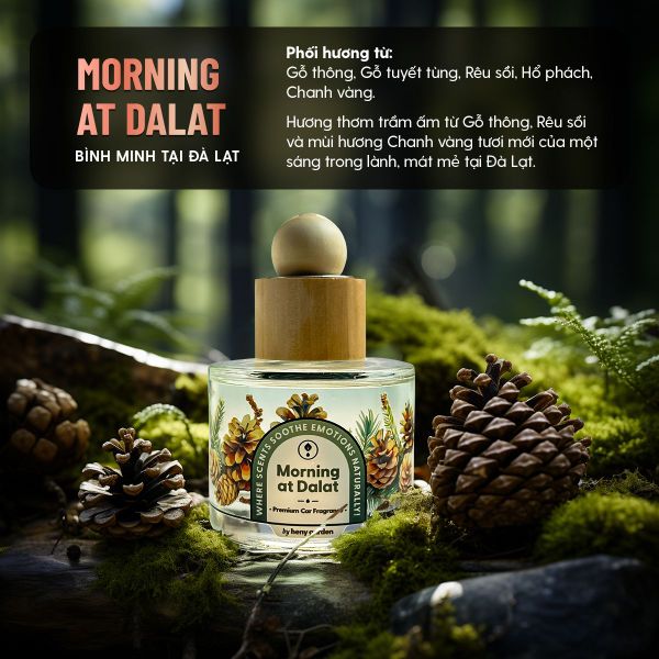 cách dùng nước hoa ô tô có mùi hương gỗ