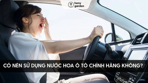 có nên dùng nước hoa xe hơi không và cách sử dụng nước hoa xe hơi cao cấp