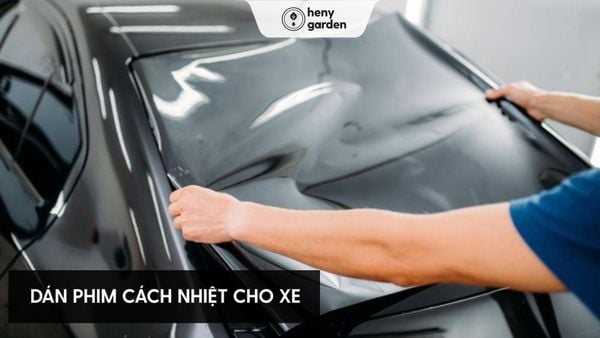 sử dụng nước hoa ô tô hiệu quả bằng cách dán phim cách nhiệt