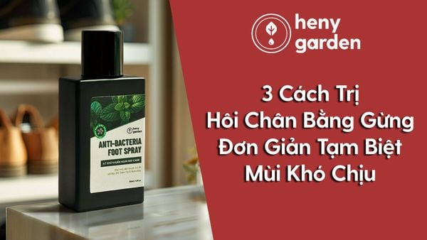 1. Giới thiệu về hôi chân và nguyên nhân gây ra