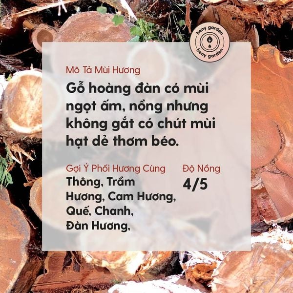 Tinh dầu Hoàng đàn