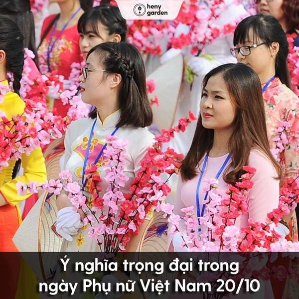 Lời chúc mừng em gái tốt nghiệp - Chia sẻ niềm vui và tự hào trong ngày trọng đại