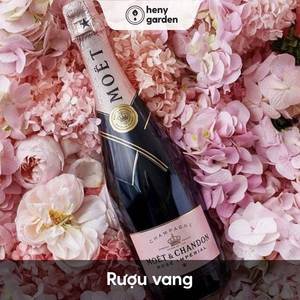 Chúc sếp 20/10 bằng một chai rượu vang