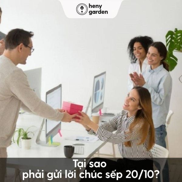 Tại sao phải gửi lời chúc sếp 20/10?