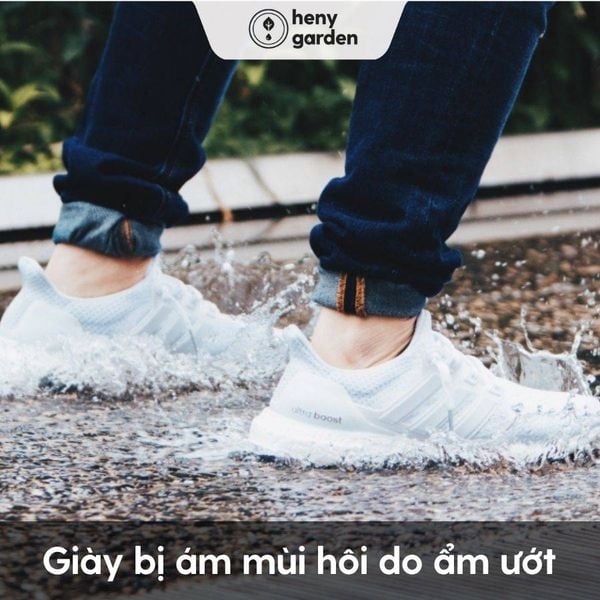 Giày bị ám mùi hôi do ẩm ướt gây ra mùi hôi ở chân